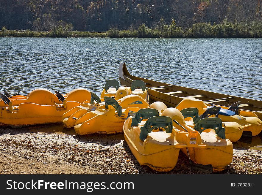 A group of paddle boats by a canoe on the edge of a river