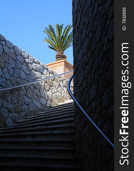 Nice dark staircase with exit to blue sky and palm. Nice dark staircase with exit to blue sky and palm