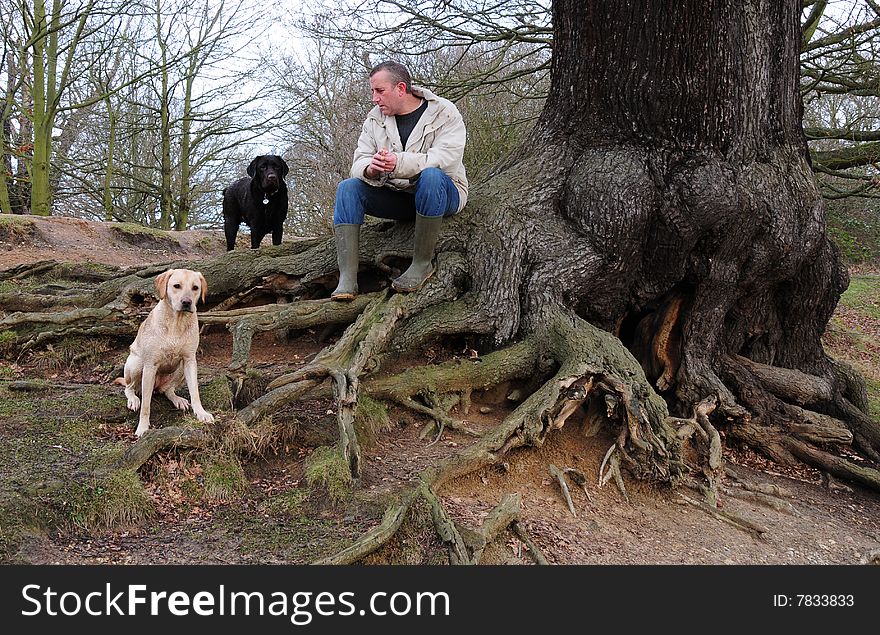 Man and his dogs in the forest. Man and his dogs in the forest