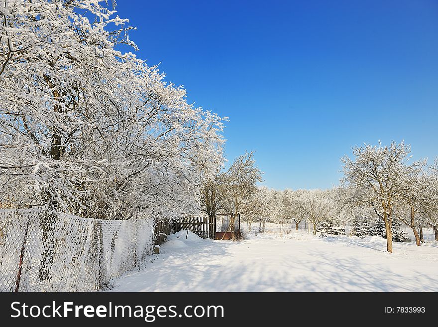 Czech republic garden in winter time beautiful blue sky white trees and snow gate with wire fence