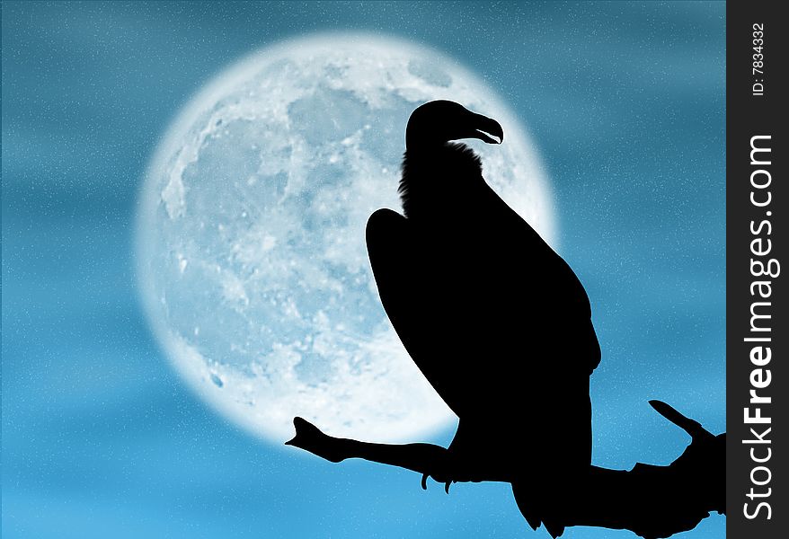 Eagle silhouette in the moon and in the night. Eagle silhouette in the moon and in the night
