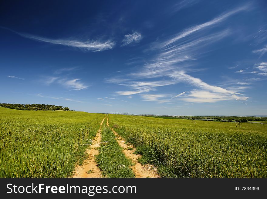 Road path in beautiful spring landscape
