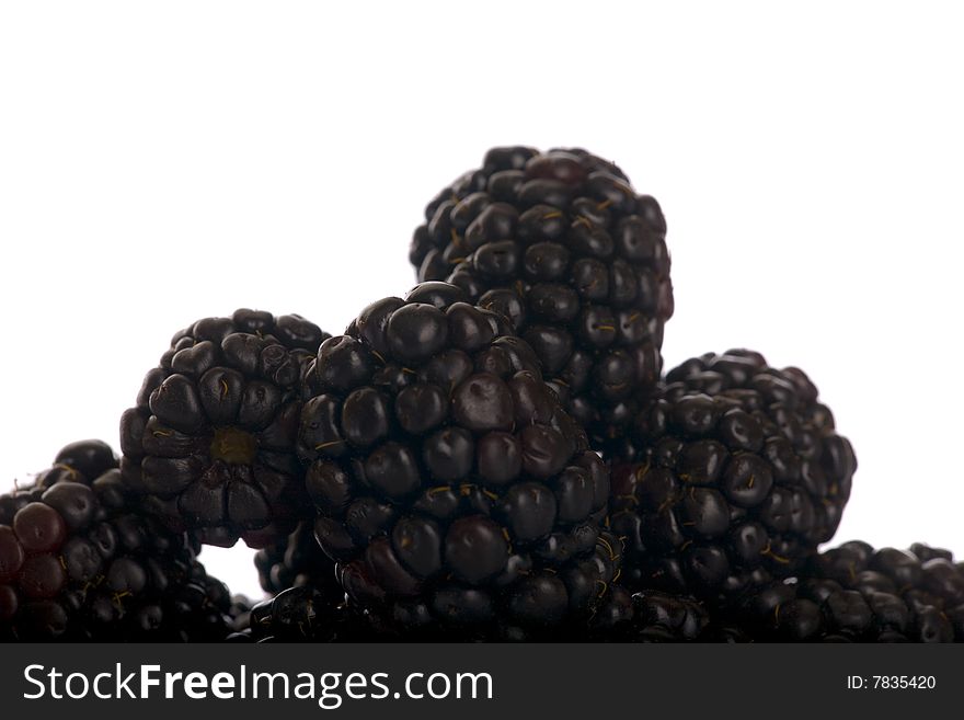 Blackberries in a macro close up image on a white background. Blackberries in a macro close up image on a white background