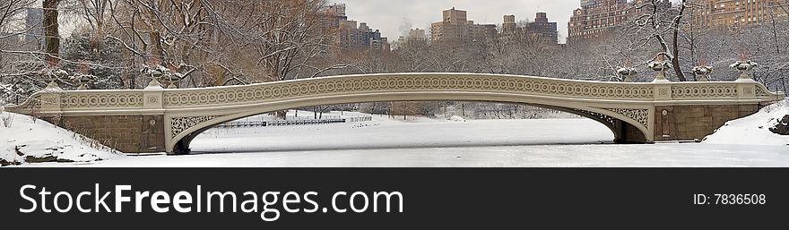 Central Park panoramic in winter after snow storm. Central Park panoramic in winter after snow storm