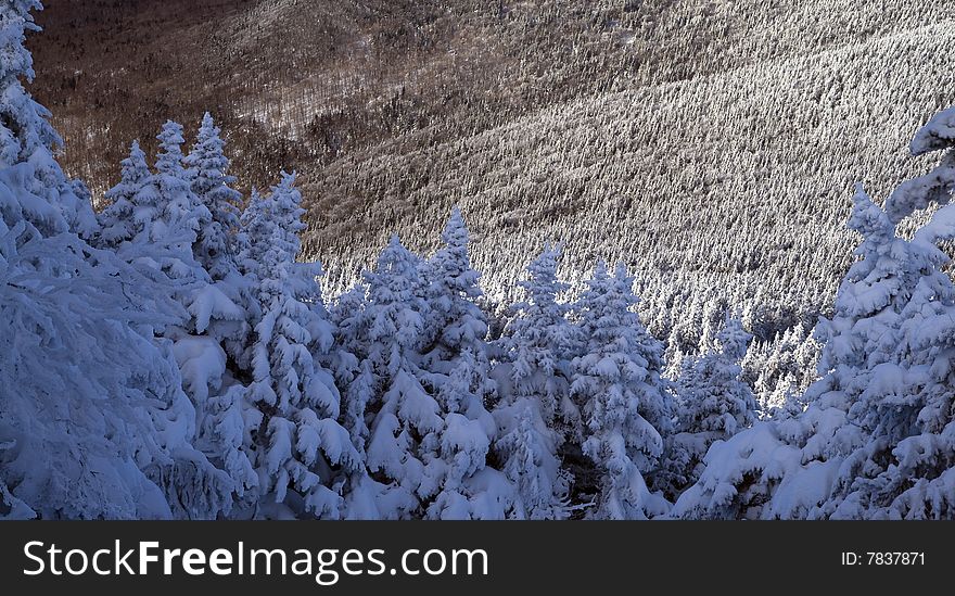 View of winter in the mountains. View of winter in the mountains