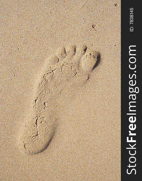 Footprint on a beach on Peloponnese, Greece. Footprint on a beach on Peloponnese, Greece