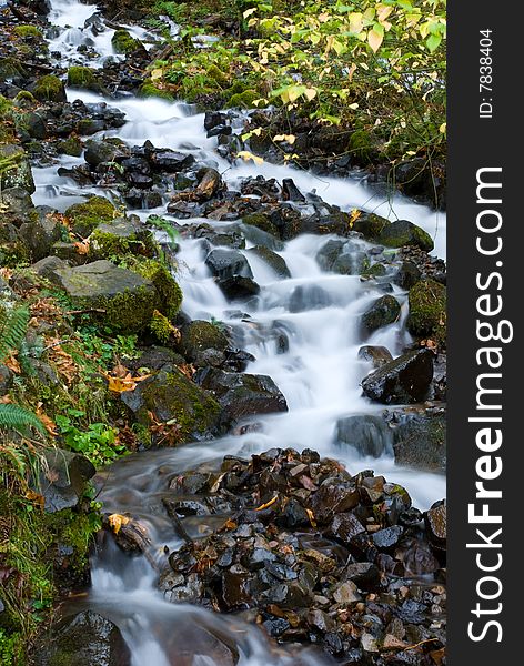 A Stream In The Columbia River Gorge