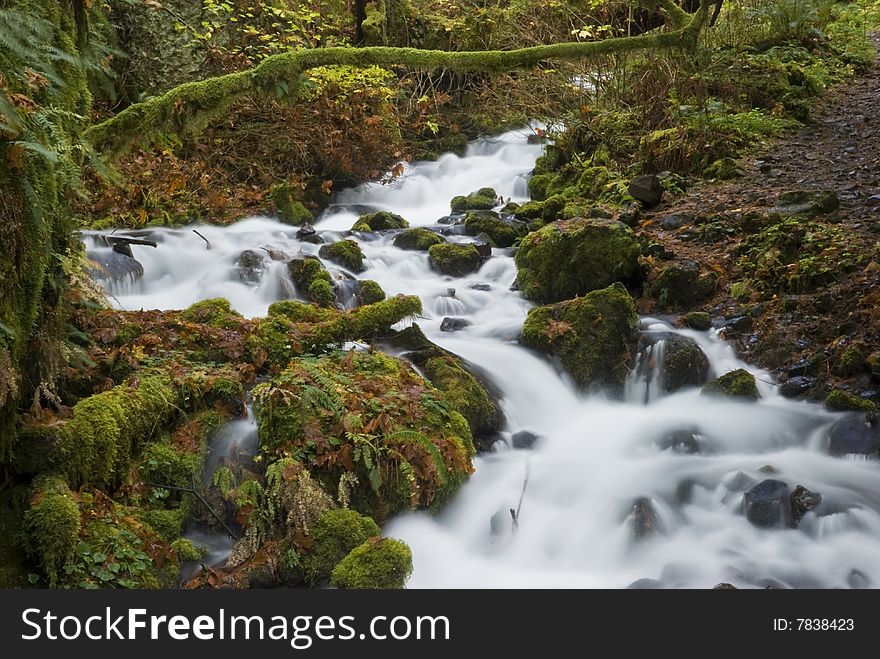 A motion blur shot of water flowing rapidly down a stream in the Columbia River Gorge. A motion blur shot of water flowing rapidly down a stream in the Columbia River Gorge.