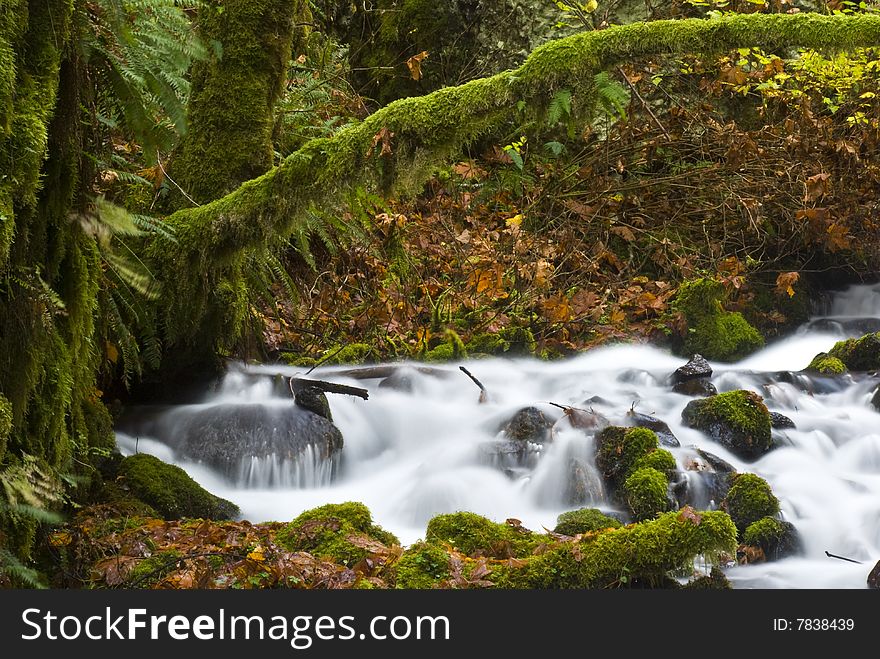 A motion blur shot of water flowing rapidly down a stream in the Columbia River Gorge. A motion blur shot of water flowing rapidly down a stream in the Columbia River Gorge.