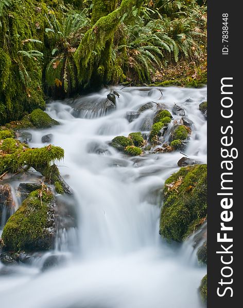 A motion blur shot of water flowing rapidly down a stream in the Columbia River Gorge. A motion blur shot of water flowing rapidly down a stream in the Columbia River Gorge.