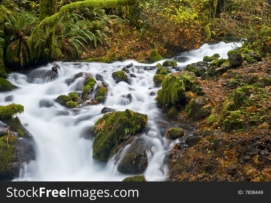 A small creek in the Columbia River Gorge. A small creek in the Columbia River Gorge.