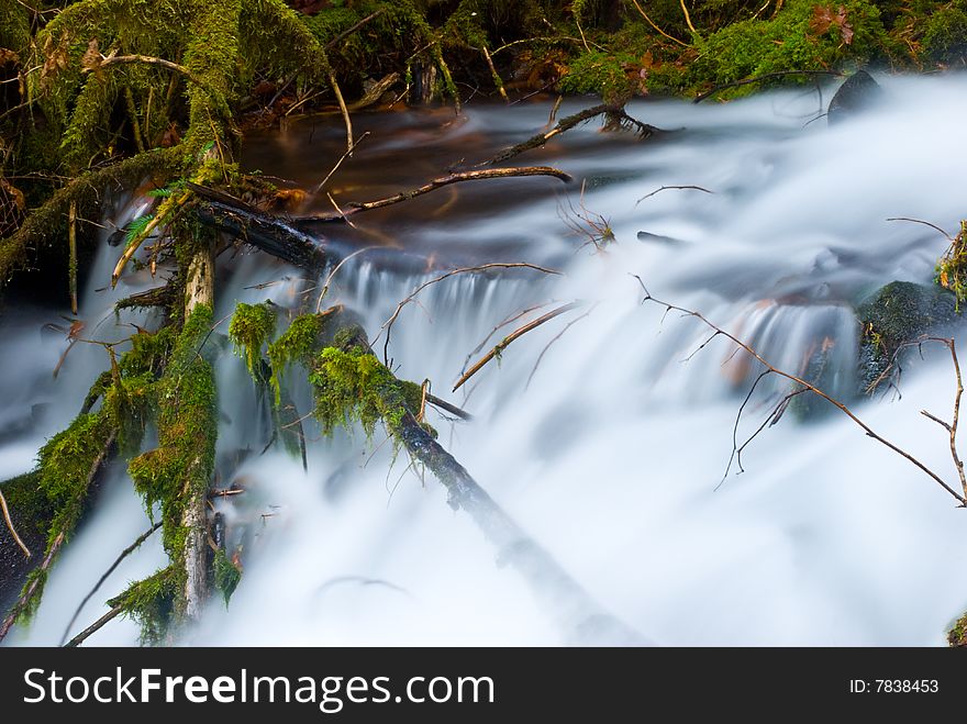 Small creek in the gorge