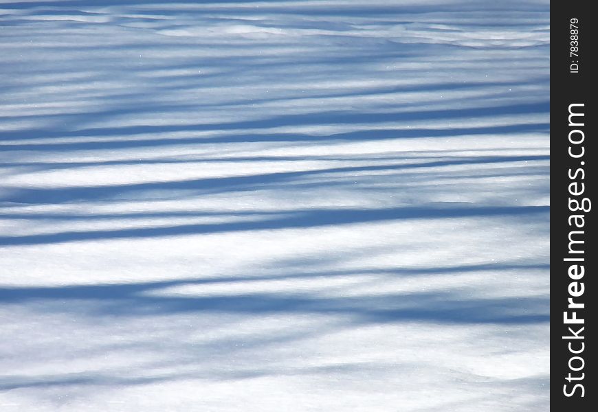Pattern of tree branches on fresh snow. Pattern of tree branches on fresh snow.
