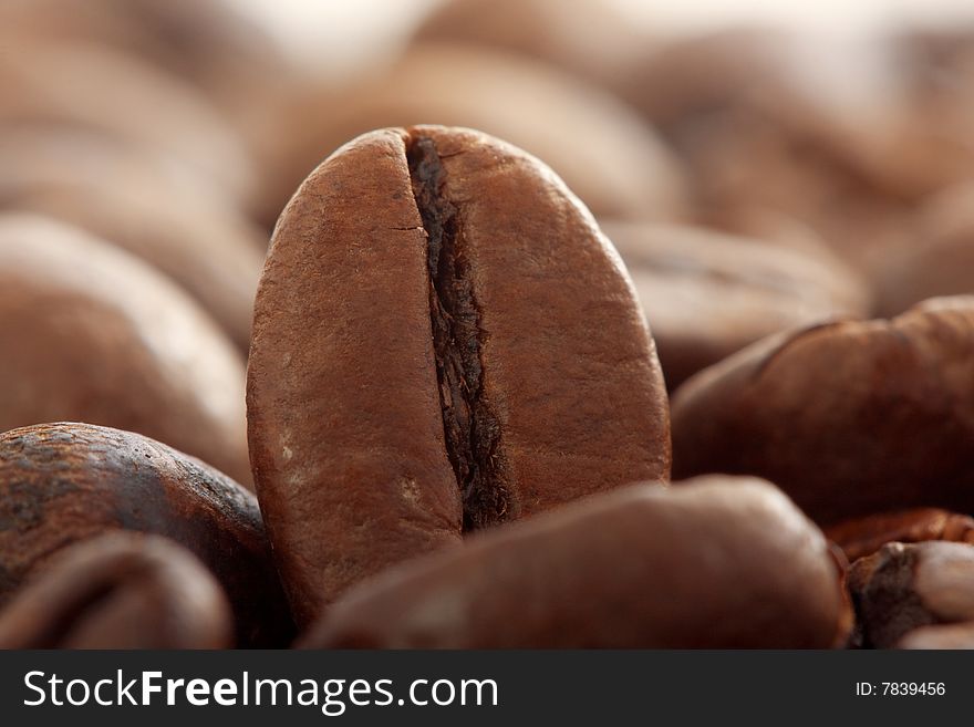 Coffee Beans