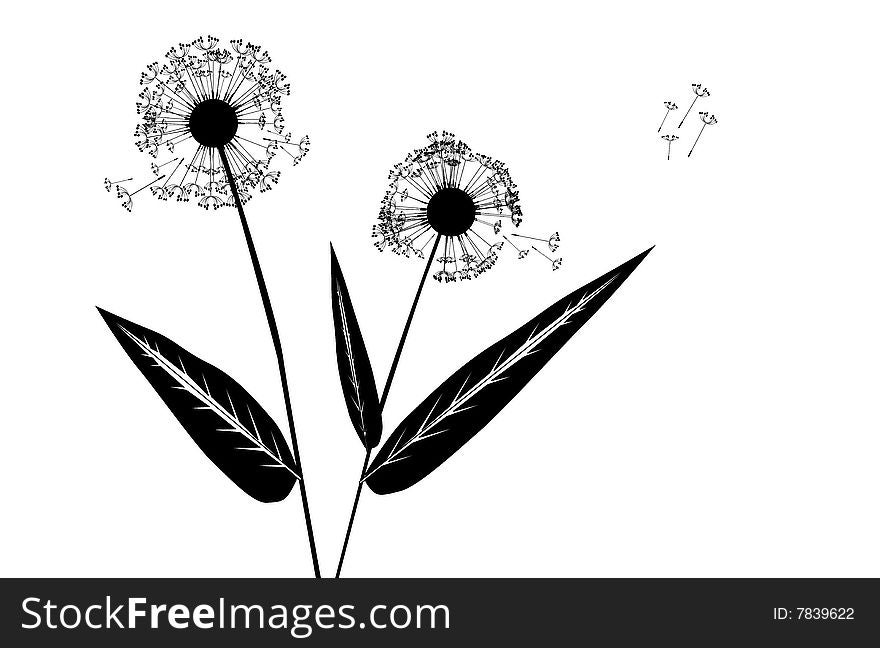 Stock photo: nature: an image of silhouette of dandelion