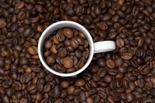 Background With White Cup And Coffee Beans Stock Photography Background With White Cup And Coffee Beans Stock Photography