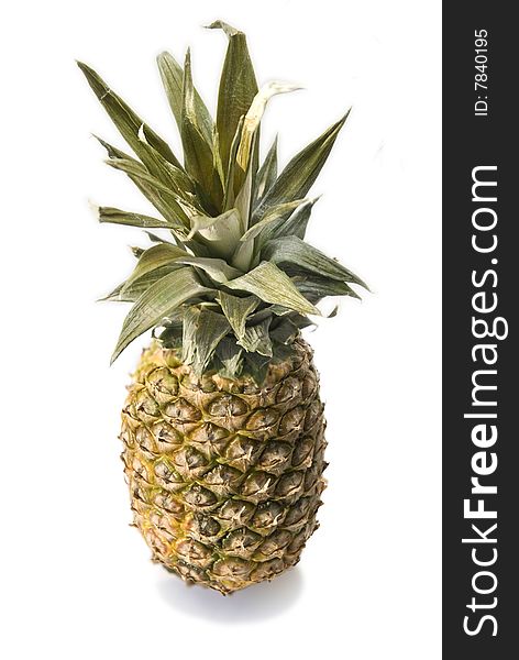 Pineapple isolated image. Spiky leaves