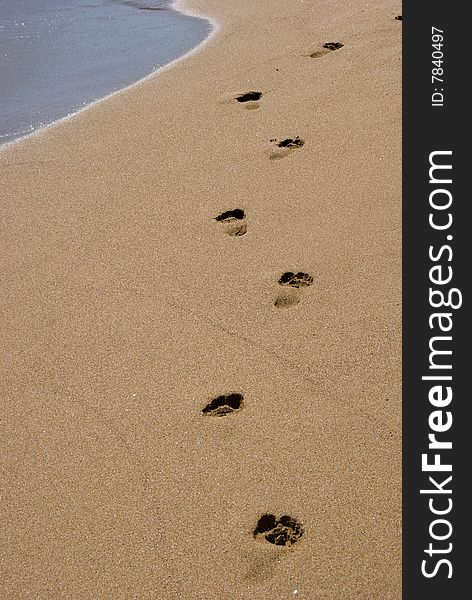 Footprints in the sand on a beach. Footprints in the sand on a beach