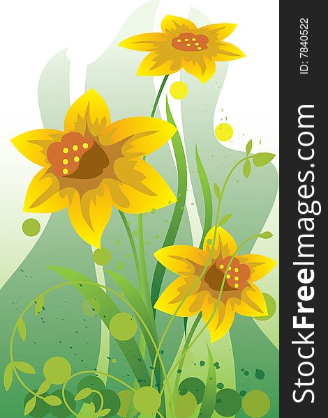 This illustration depicts beautiful narcissuses