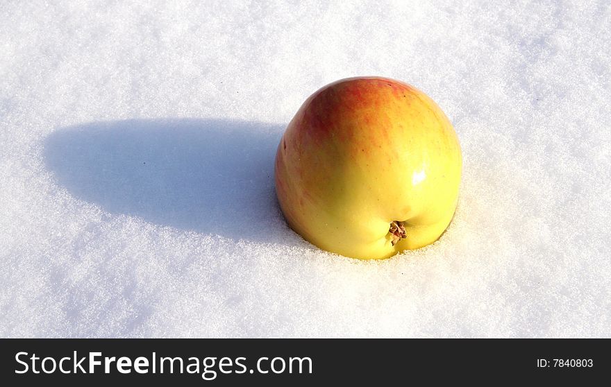 Yellow apple lays on snow background. Yellow apple lays on snow background.
