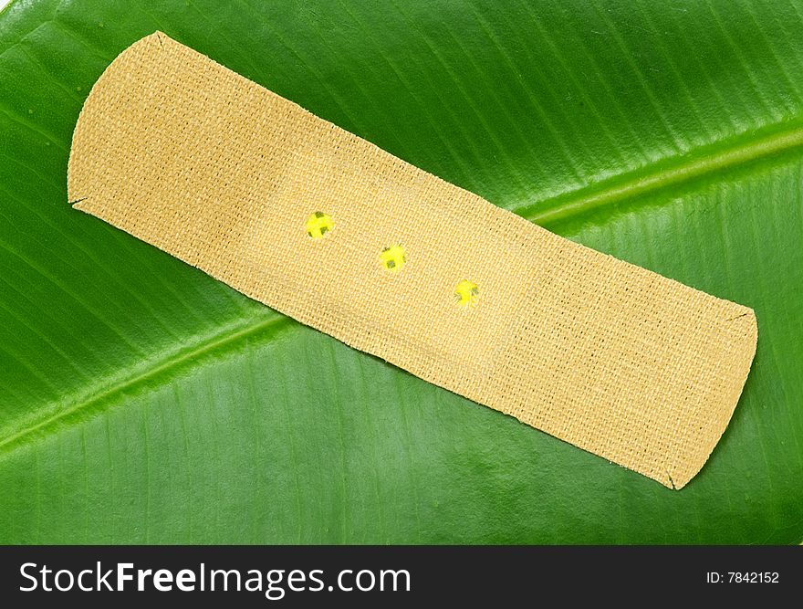 Structure of leaf natural background