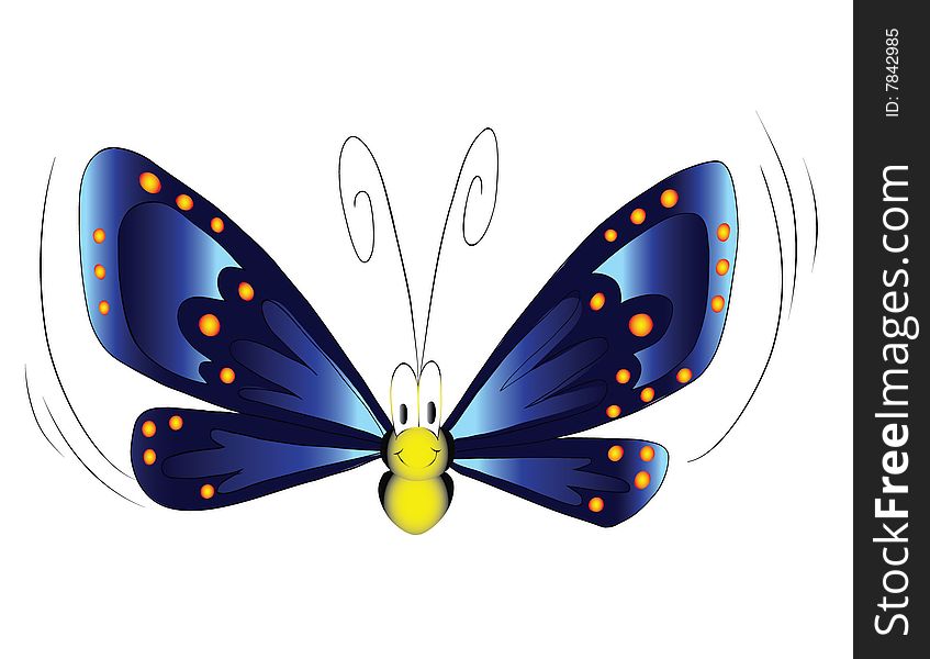 Vector illustration blue butterfly fly