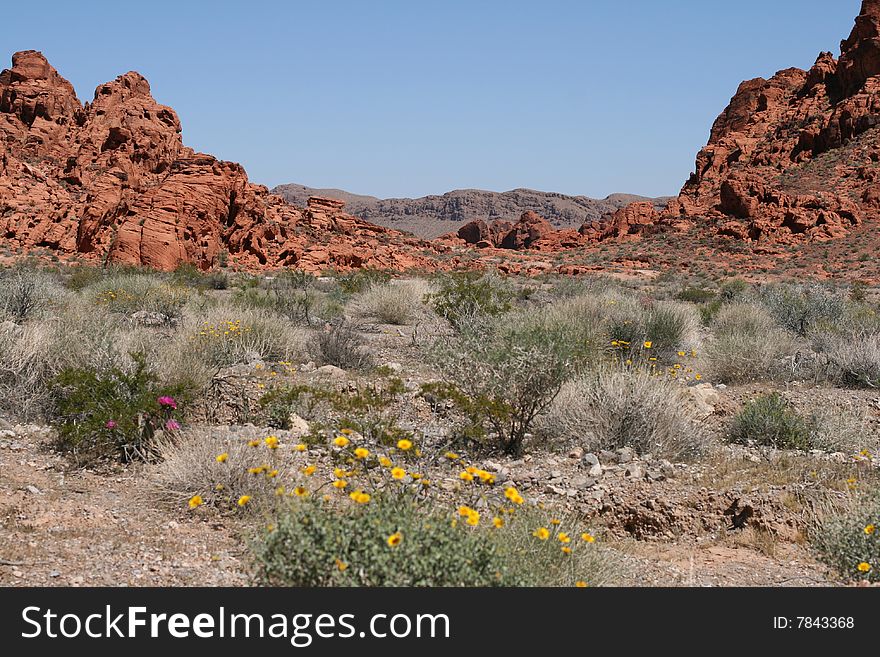 Valley of Fire State Park, Nevada. Valley of Fire State Park, Nevada