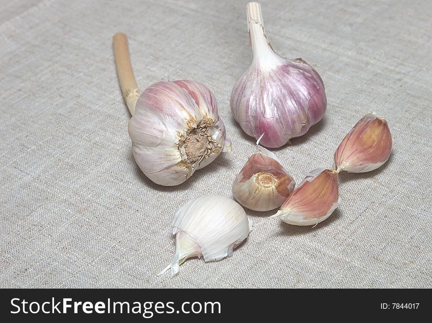 Garlic Close Up on canvas