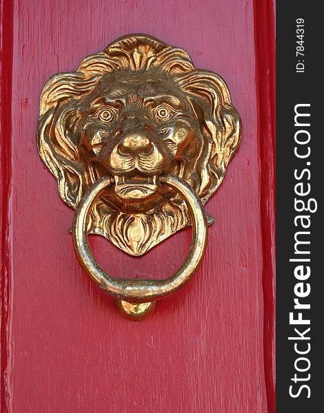 A Brass lion door knocker