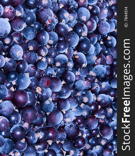 Currant berries frozen Ð°bstract background