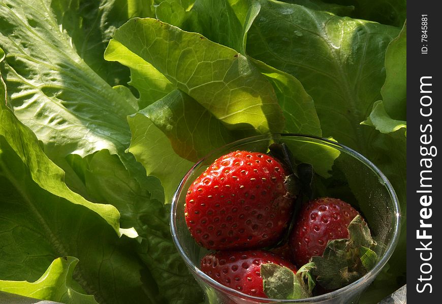 Red strawberries in glass cup with Lettuce. Red strawberries in glass cup with Lettuce.