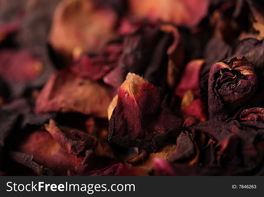 Dry petals rose background texture. Dry petals rose background texture