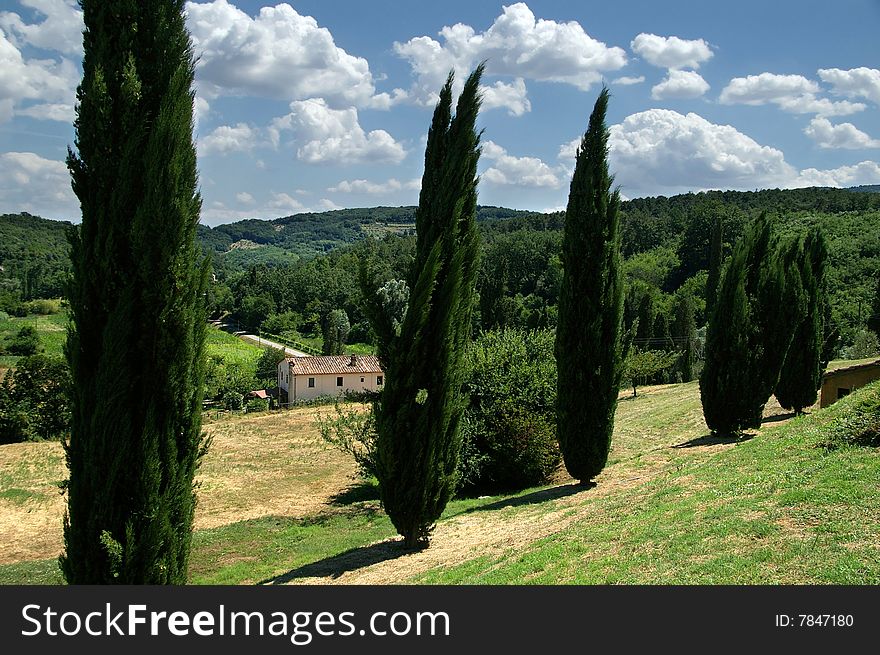 Landscape with cypresses in Tuscany. Landscape with cypresses in Tuscany