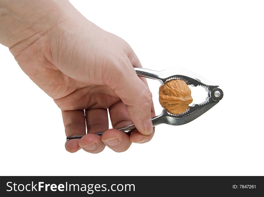 Man s hand cracking a walnut