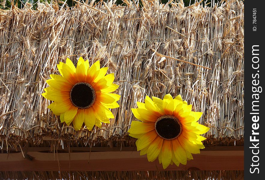 Thatched Roof Decorated With Sunflowers