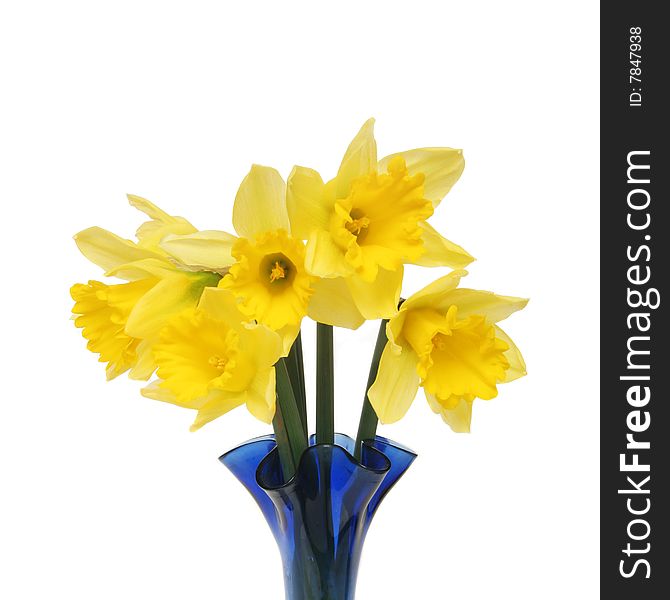 Closeup of a bunch of daffodils in a blue vase