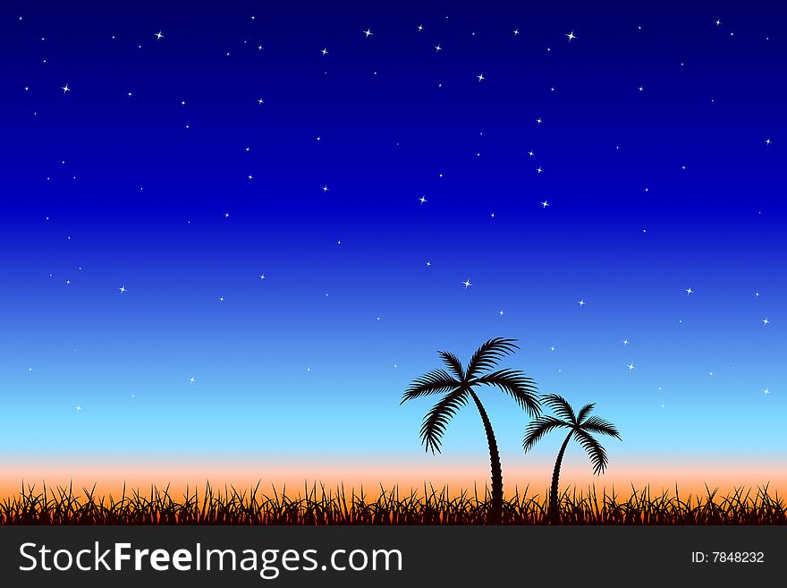 Vector illustration of Tropical Night