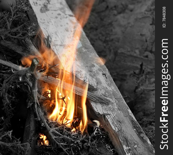 Embers texture, wood in fire