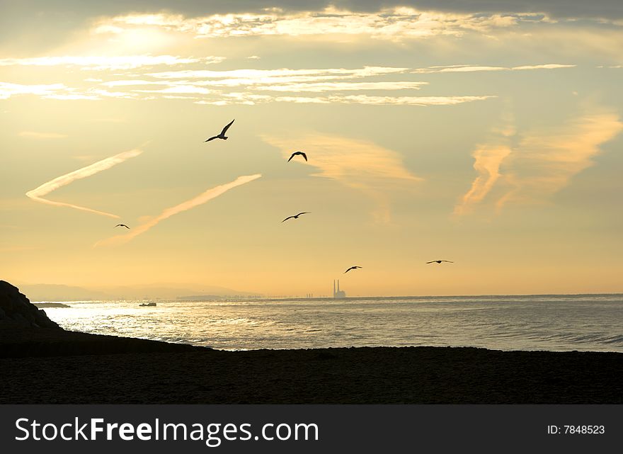 Sunrise over the beach with seagulls flying off shore