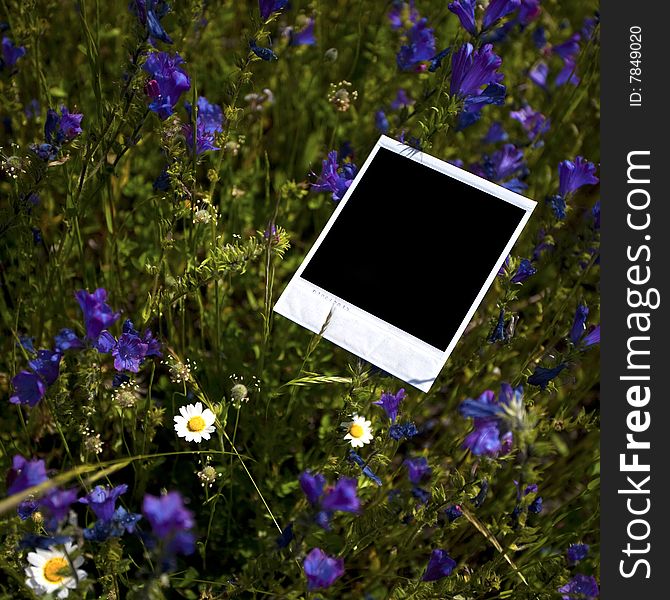 Instant photo frame in grass background - square format
