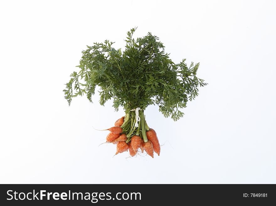 A bunch of organic carrots tied with string on an isolated white background. A bunch of organic carrots tied with string on an isolated white background