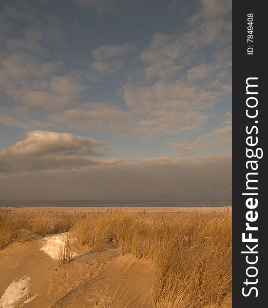 Grass on the beach, snow and blue sky in winter. Grass on the beach, snow and blue sky in winter.