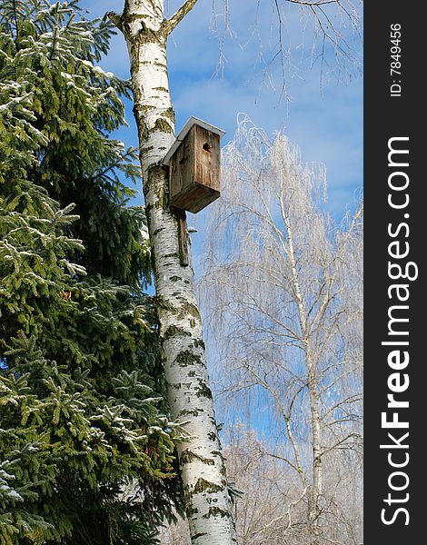 A small house for birds attached to a birch. A small house for birds attached to a birch.