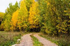 A Small Road In The Forest Stock Image A Small Road In The Forest Stock Image