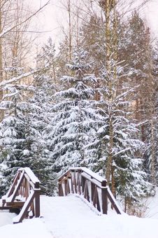 Foot-bridge On Winter Background Royalty Free Stock Image Foot-bridge On Winter Background Royalty Free Stock Image
