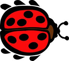 Ladybird Royalty Free Stock Photography
