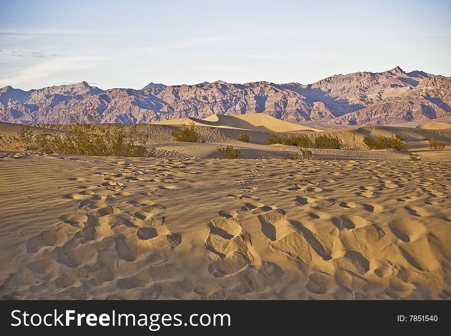 This is a picture of tracks across the sand dunes leading to the mountains. This is a picture of tracks across the sand dunes leading to the mountains.