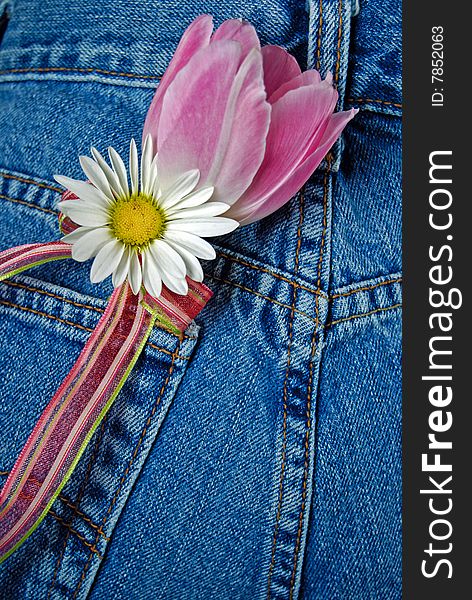 Spring tulip and daisy in a blue jean pocket. Spring tulip and daisy in a blue jean pocket.