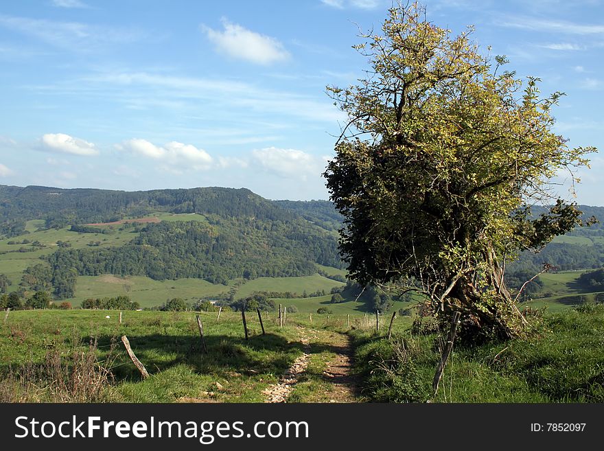 French Rural Landscape