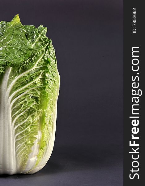 Chinese cabbage on a grey background,ready for type.